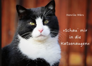 ISBN 9783758363795: Schau´ mir in die Katzenaugen