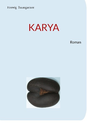 ISBN 9783758366888: Karya