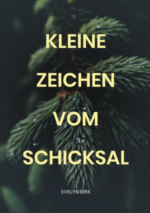 ISBN 9783758370236: Kleine Zeichen vom Schicksal | Ein spannender Liebesroman mit Tiefgang | Evelyn Birk | Taschenbuch | 246 S. | Deutsch | 2024 | BoD - Books on Demand | EAN 9783758370236