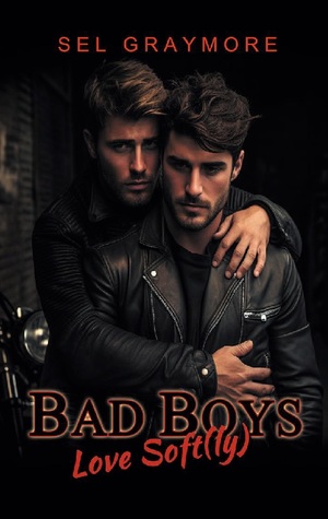 ISBN 9783758372735: Bad Boys love soft(ly)