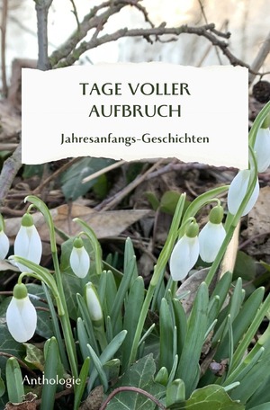 ISBN 9783759822888: TAGE VOLLER AUFBRUCH - Jahresanfangsgeschichten