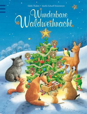 ISBN 9783760762968: Wunderbare Waldweihnacht