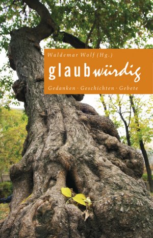 ISBN 9783761553503: GlaubWürdig - Gedanken-Geschichten-Gebete