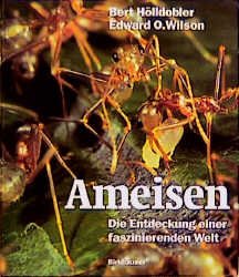 ISBN 9783764351526: Ameisen: Die Entdeckung einer faszinierenden Welt.