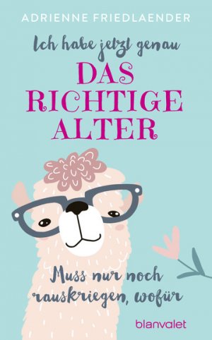 ISBN 9783764506841: Ich habe jetzt genau das richtige Alter. Muss nur noch rauskriegen, wofür