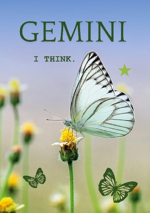 ISBN 9783769306651: Gemini - I think