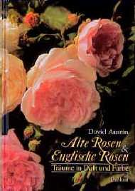 ISBN 9783770132706: Alte Rosen und Englische Rosen - Träume in Duft und Farbe