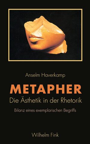 neues Buch – Anselm Haverkamp – Metapher