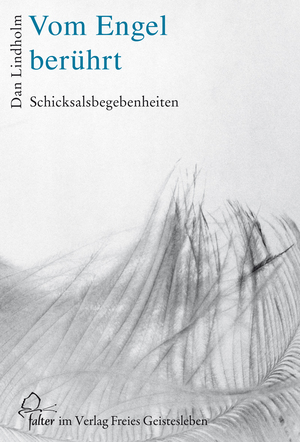 gebrauchtes Buch – Dan Lindholm – Vom Engel berührt - Schicksalsbegebenheiten