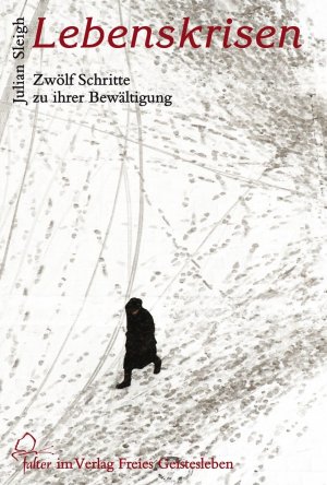 ISBN 9783772510540: Lebenskrisen - Zwölf Schritte zu ihrer Bewältigung