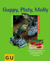 ISBN 9783774210707: Guppy, Platy, Molly und andere Lebendgebärende