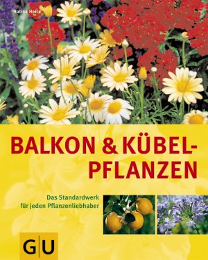 ISBN 9783774257047: Balkon und Kübelpflanzen