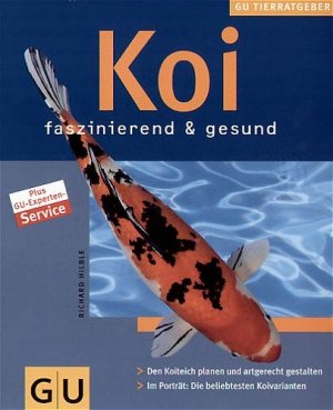 ISBN 9783774264045: Koi faszinierend & gesund