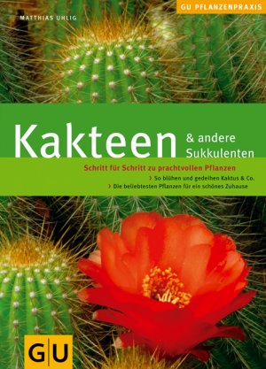 ISBN 9783774272811: Kakteen & andere Sukkulenten – Schritt für Schritt zu prachtvollen Pflanzen. So blühen und gedeihen Kaktus & Co.