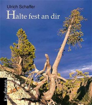 ISBN 9783780606396: Halte fest an dir