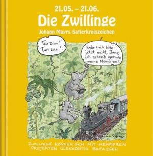 gebrauchtes Buch – Johann Mayr – Die Zwillinge