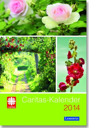 gebrauchtes Buch – Caritas-Kalender 2014 - Das Caritas-Kalenderbuch 2014 (F132)