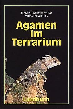 ISBN 9783784204611: Agamen im Terrarium