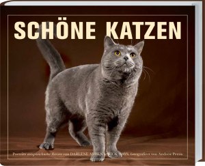 gebrauchtes Buch – Catherine Davidson – Schöne Katzen