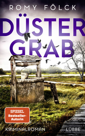 ISBN 9783785728345: Düstergrab - Kriminalroman. Atmosphärische Spannung aus Norddeutschland: Band 6 der SPIEGEL-Bestsellerserie