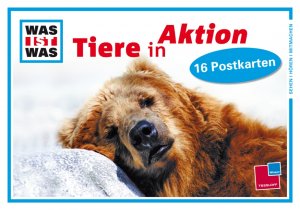 ISBN 9783788617042: Tiere in Aktion (WAS IST WAS Postkartenbuch)