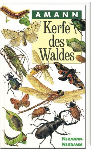 ISBN 9783788807603: Kerfe des Waldes