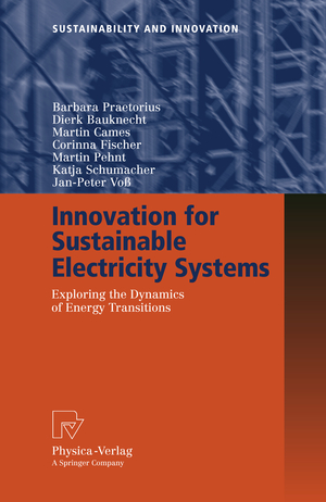 neues Buch – Barbara Praetorius Dierk Bauknecht Martin Cames Corinna Fischer Martin Pehnt Katja Schumacher Jan-Peter Voss – Innovation for Sustainable Electricity Systems