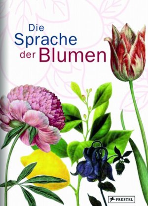 gebrauchtes Buch – Doris Kutschbach – Die Sprache der Blumen