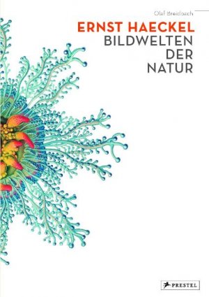 ISBN 9783791336633: Ernst Haeckel - Bildwelten der Natur