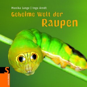 ISBN 9783794191352: Geheime Welt der Raupen