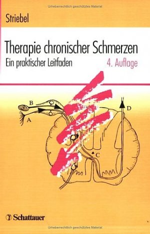 ISBN 9783794521463: Therapie chronischer Schmerzen: Ein praktischer Leitfaden