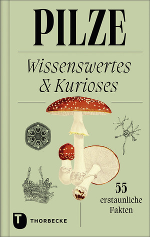 neues Buch – Pilze | Wissenswertes und Kurioses - 55 erstaunliche Fakten | Buch | 64 S. | Deutsch | 2023 | Jan Thorbecke Verlag | EAN 9783799519748