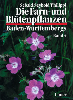 ISBN 9783800133154: Die Farn- und Blütenpflanzen Baden-Württembergs Band 4 - Spermatophyta, Unterklasse Rosidae: Haloragaceae bis Apiaceae