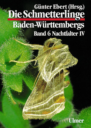 ISBN 9783800134823: Die Schmetterlinge Baden-Württembergs Band 6 - Nachtfalter IV [Gebundene Ausgabe] Augenfalter Bläulinge Dickkopffalter Staatliches Museum für Naturkunde Karlsruhe Biologie Zoologie Baden-Württemberg T