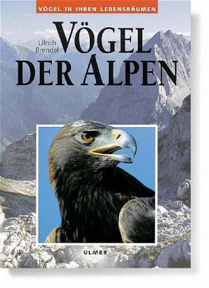 ISBN 9783800135028: Vögel der Alpen - Vögel in ihren Lebensräumen