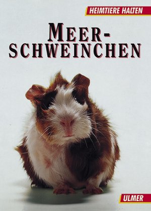 ISBN 9783800135554: Meerschweinchen – Verhalten, Ernährung, Pflege