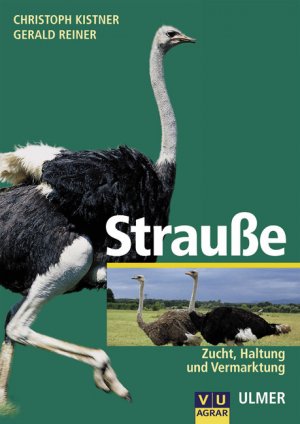 ISBN 9783800138432: Strausse