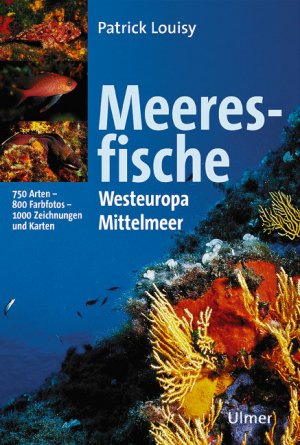 ISBN 9783800138449: Meeresfische: Westeuropa und Mittelmeer Louisy, Patrick