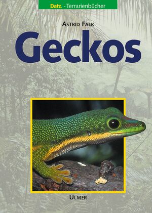 gebrauchtes Buch – Astrid Falk – Geckos