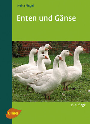 ISBN 9783800147281: Enten und Gänse