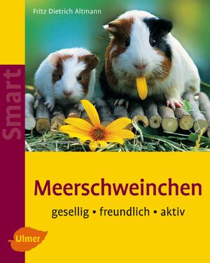 ISBN 9783800151493: Meerschweinchen - Gesellig - freundlich - aktiv