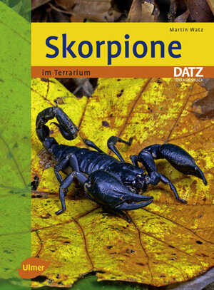 gebrauchtes Buch – Martin Watz – Skorpione im Terrarium (Datz Terrarienbuch)