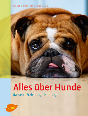 ISBN 9783800156634: Alles über Hunde