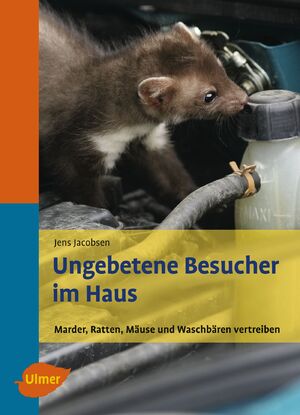 Isbn 9783800157532 Ungebetene Besucher Im Haus Marder Ratten