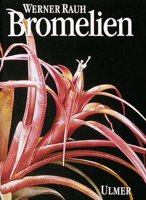 ISBN 9783800163717: Bromelien – Tillandsien und andere kulturwürdige Bromelien. Unter Mitwirkung v. Gross, Elvira