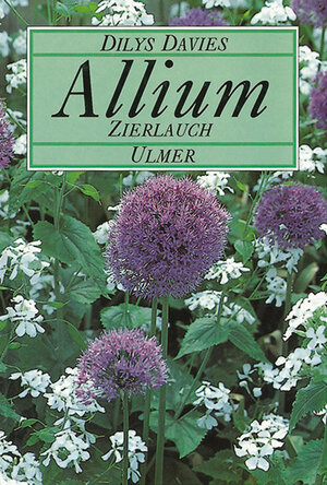 ISBN 9783800164394: Allium - Zierlauch. Aus d. Engl. v. Zerbst, Marion