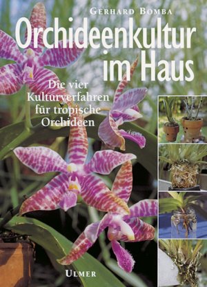 ISBN 9783800166800: Orchideenkultur im Haus