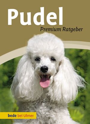 ISBN 9783800167340: Pudel – Toy-, Zwerg-, Klein-, Großpudel