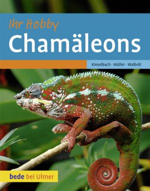 ISBN 9783800167647: Chamäleons