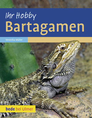 ISBN 9783800167685: Bartagamen - Ihr Hobby